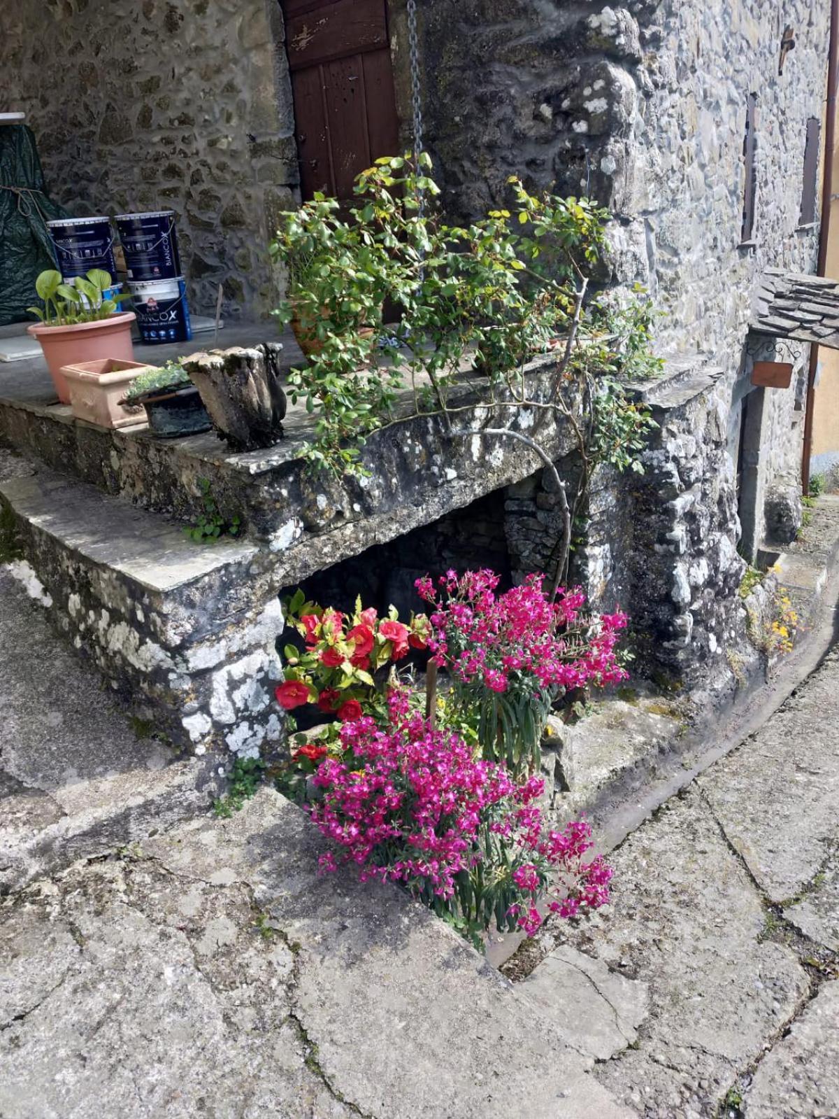 Il Nido Verde Groppo  Exterior photo
